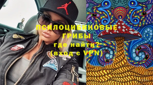 ешки Алексеевка