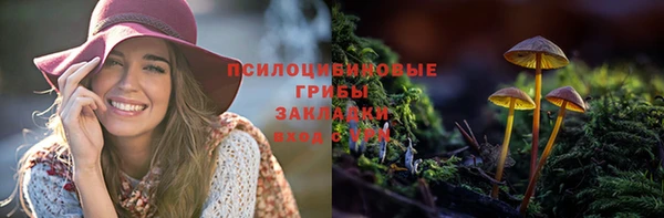 бошки Алексин