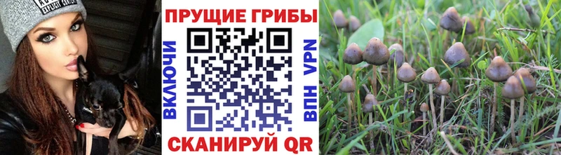 Псилоцибиновые грибы ЛСД  Красноуральск 